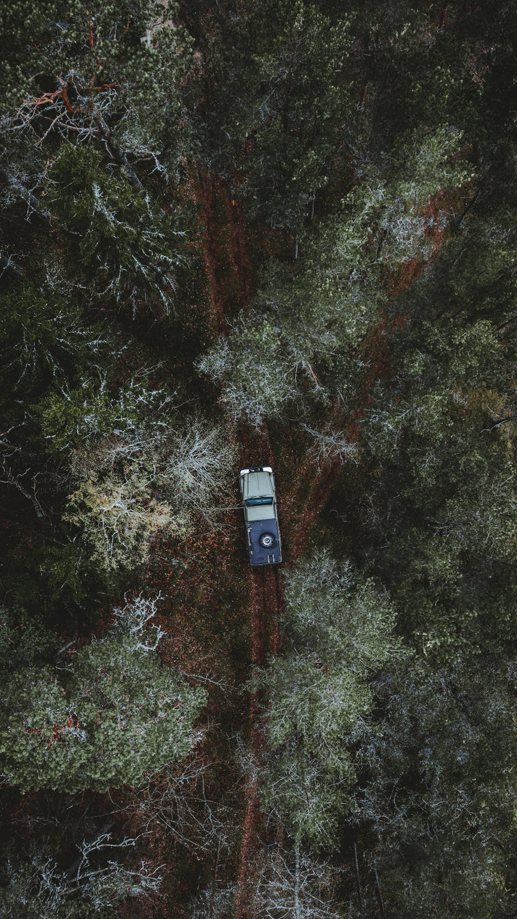 The Joy of Slow Travel: Why Taking the Long Way Matters