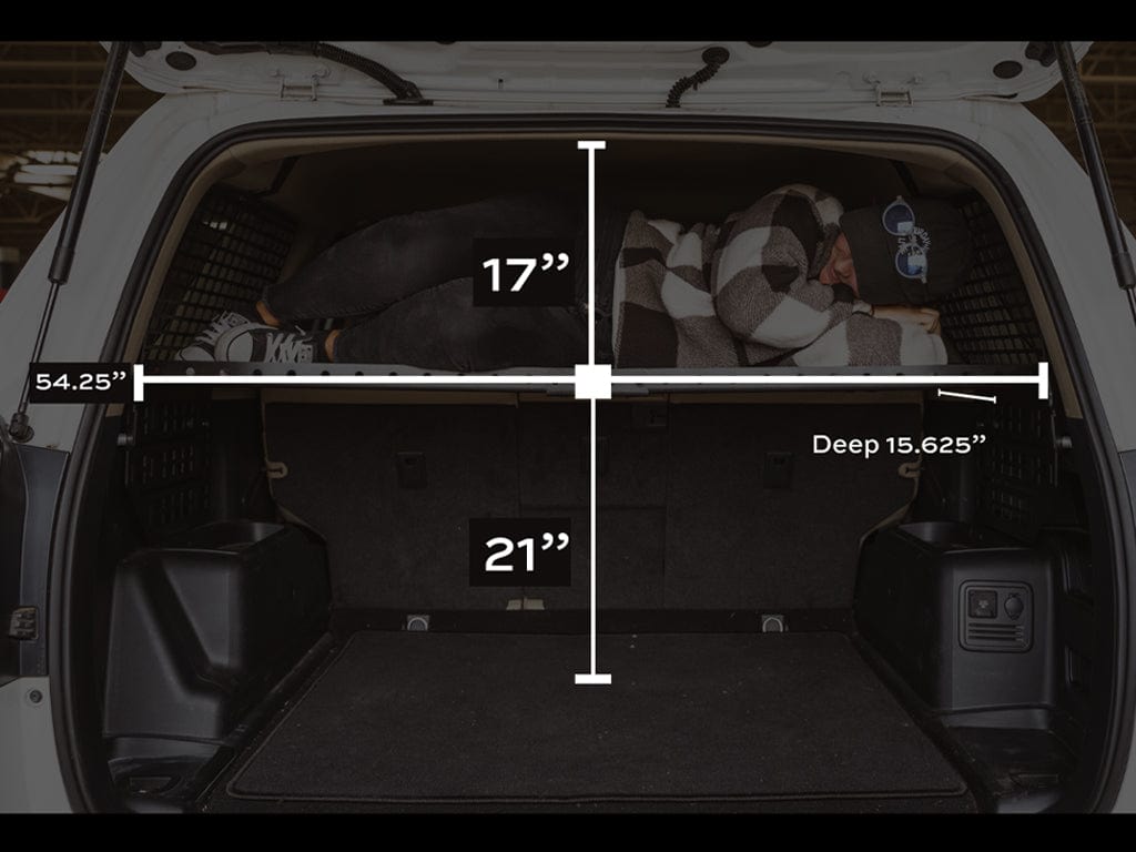 Cali Raised LED Molle 2010-2022 4Runner Interior Rear MOLLE Panel