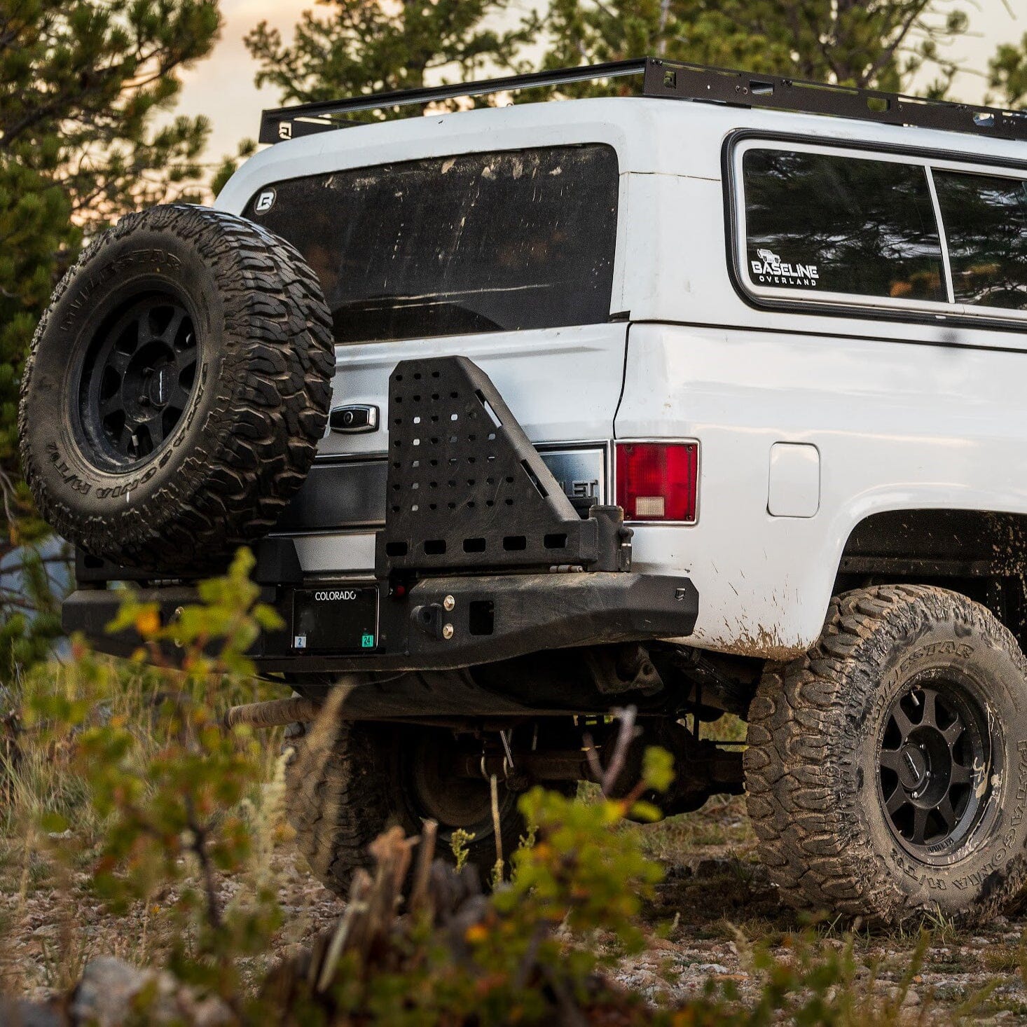 Chassis Unlimited Inc. 1973-1991 CHEVY/GM OCTANE DUAL SWING OUT REAR BUMPER