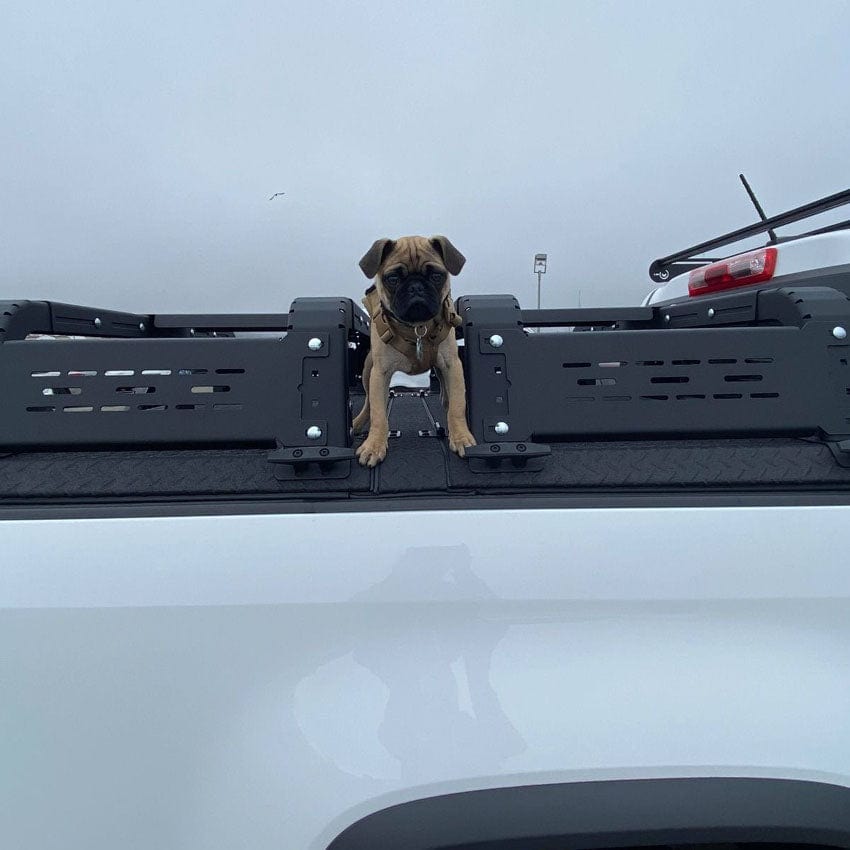 Chassis Unlimited Inc. Motor Vehicle Parts THORAX BED RACK SYSTEM- FITS DIAMOND BACK COVERS 2015-2020 CHEVY COLORADO/GMC CANYON