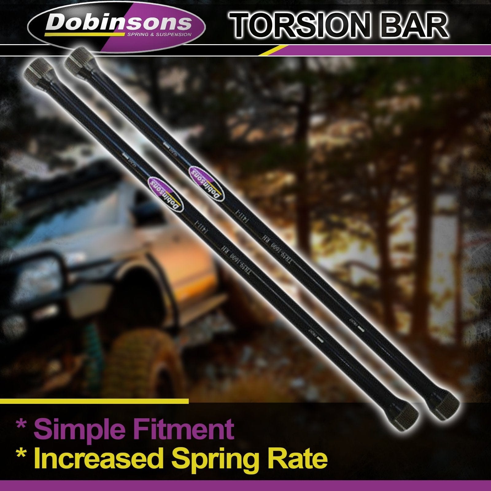 Dobinsons DOBINSONS TORSION BAR (PAIR) - LENGTH 1000MM - TB21-1547