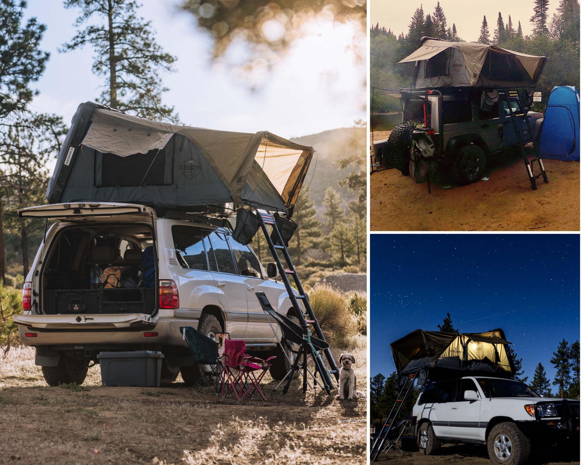 Overland Vehicle Systems 18089901 Bushveld hard shell roof top tent Overland Vehicle Systems