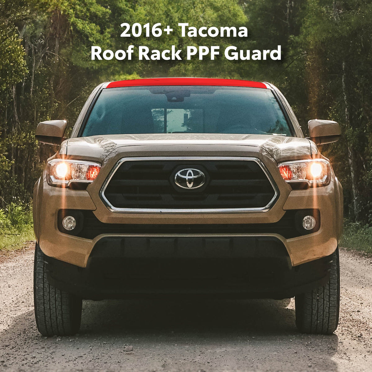 Taco Vinyl Protective Vinyl 2016-23 Tacoma PPF Roof Rack Guard