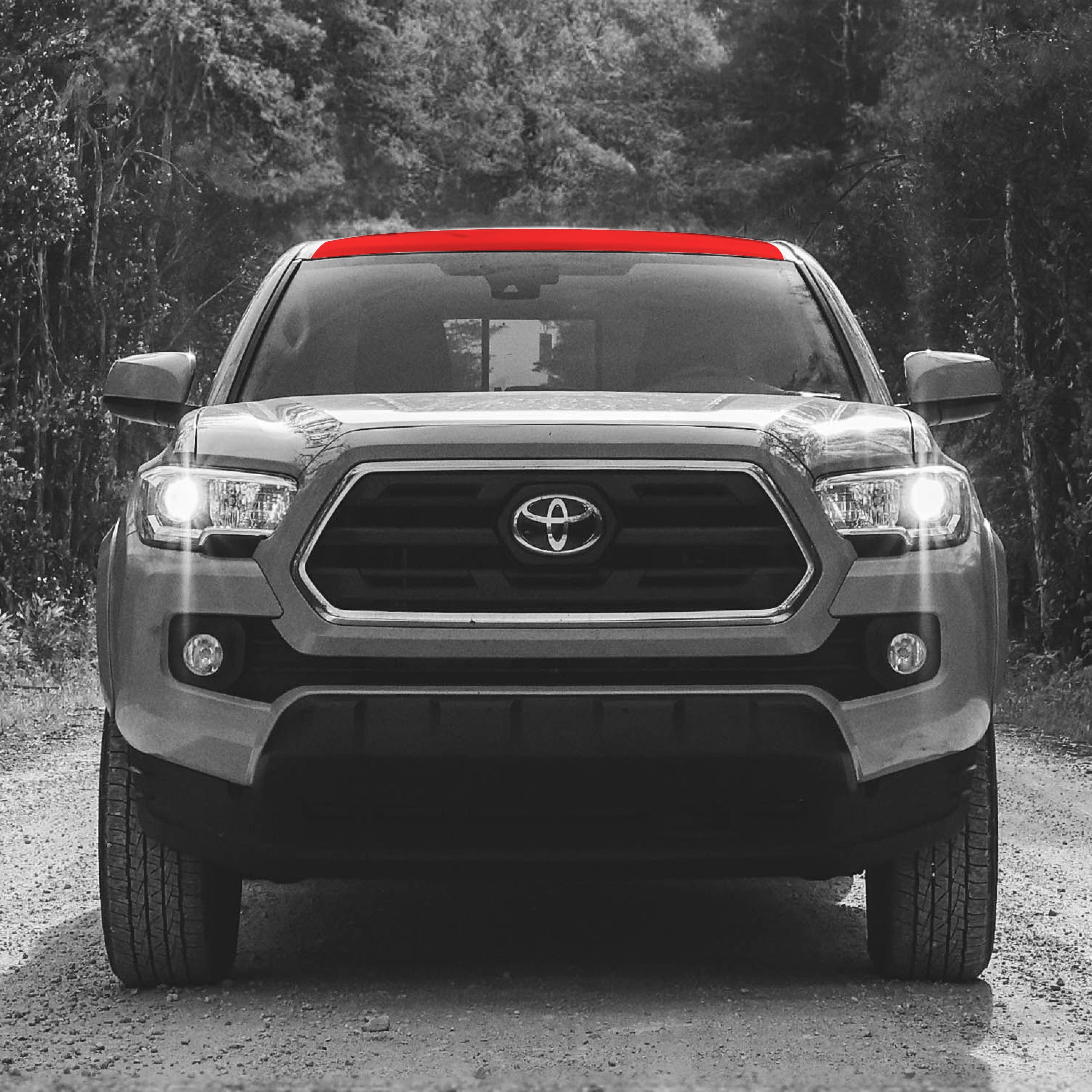 Taco Vinyl Protective Vinyl 2016-23 Tacoma PPF Roof Rack Guard