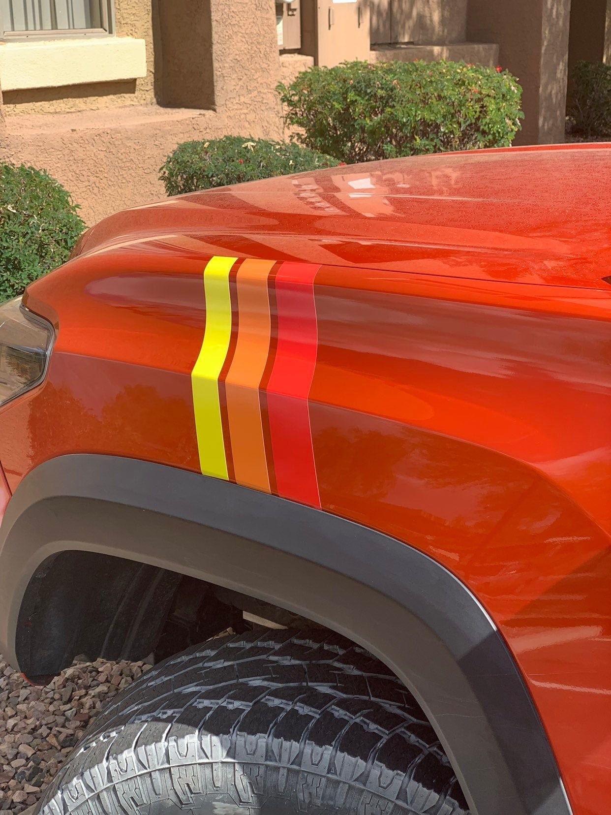 Taco Vinyl Vinyl Medium Universal Stripes