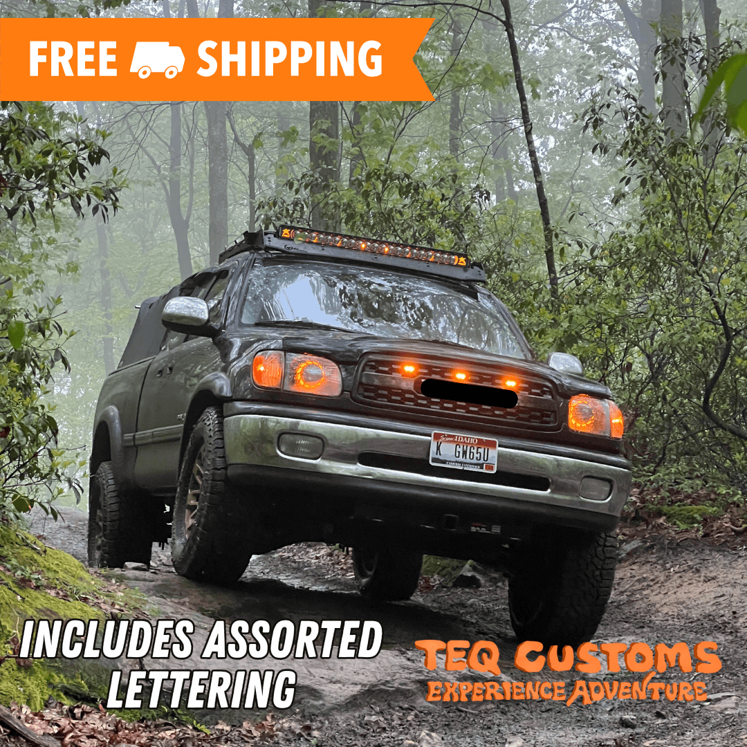 TEQ Customs Grilles TRD Pro Grille / 00-02 Tundra / TEQ Customs